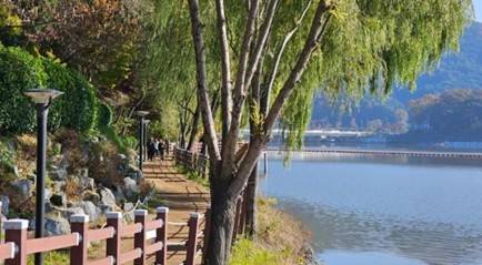 (團號: TC-01)  <一人成團> 隱藏於海上的療癒秘境&春末花海 & 402m 湖水吊橋 一天團