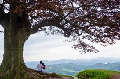 (團號 : LO-01) <一人成團> 蓮花慶典，愛情樹，百年古韻與現代融合大型Outlet 一天團