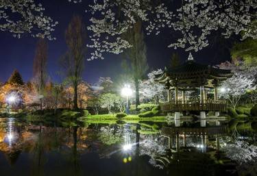 (團號 : ZD-02) <<保證出團>> 走進韓國春日秘境的兩日奇幻之旅