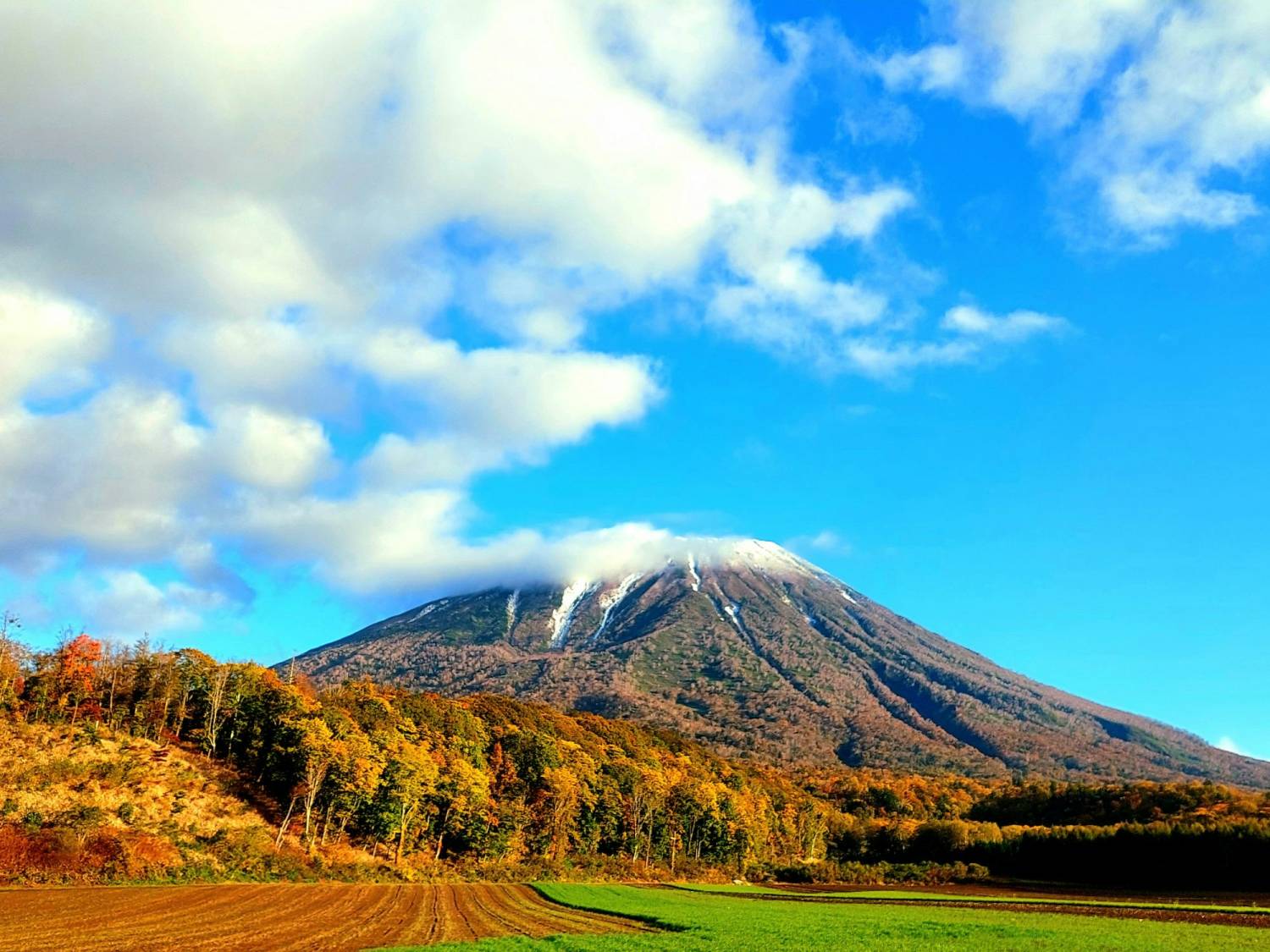 札幌出發 洞爺湖煙花大會二天遊【6000株掃帚草、安膝忠雄頭大佛、紅葉祕景神仙沼、定山溪、支笏湖畔、洞爺湖露天溫泉、北海道、蘋果園任食放題】KHT-02A