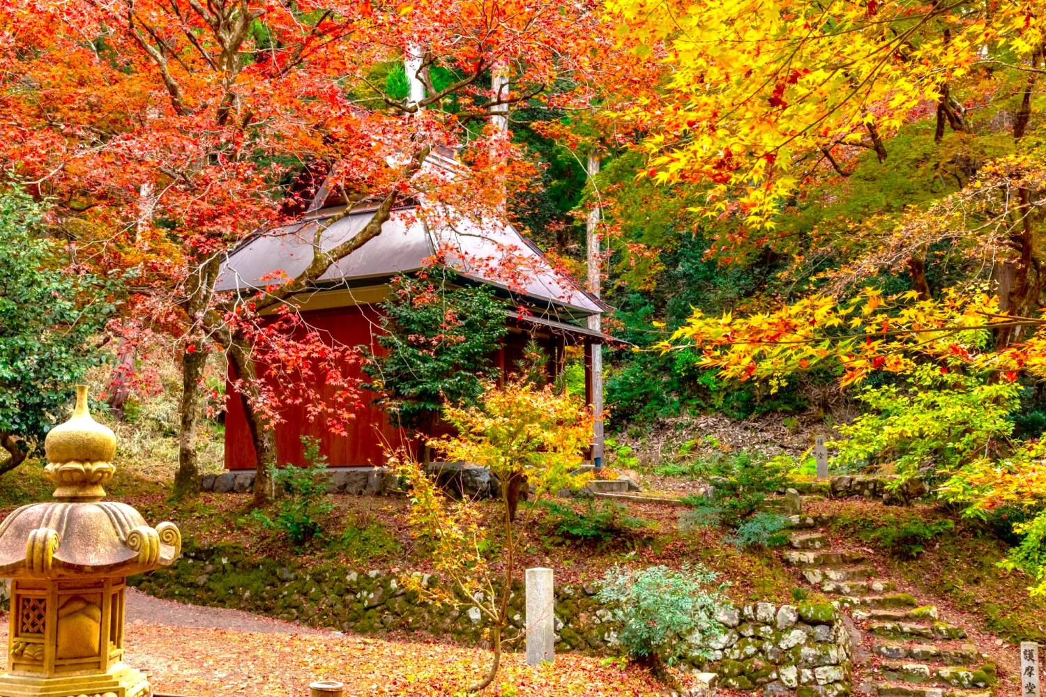 琵琶湖紅葉一天遊-(雞足寺+滋賀水杉林大道+黒壁廣場)(KNS-01A)名古屋出發