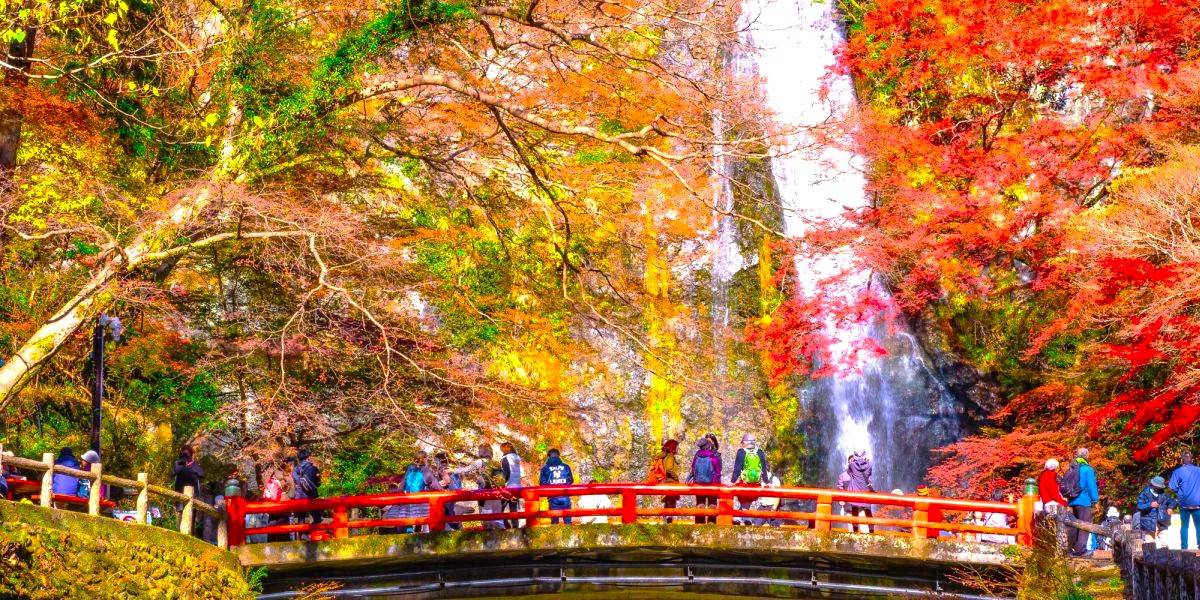 大阪出發◆秋色紅葉之旅◆有馬+箕面一天遊【箕面紅葉公園 ▎勝尾寺ʊ可愛達摩 ▎瑞寶寺公園★賞楓名勝地】(KOA-01A)