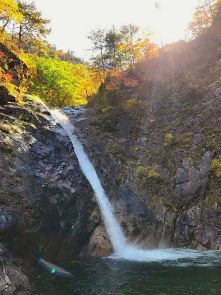 (團號:SE-01) (10 &11月份限定) 2025 最早賞楓勝地雪嶽山, 朿草觀光水產市場,展望台一天團