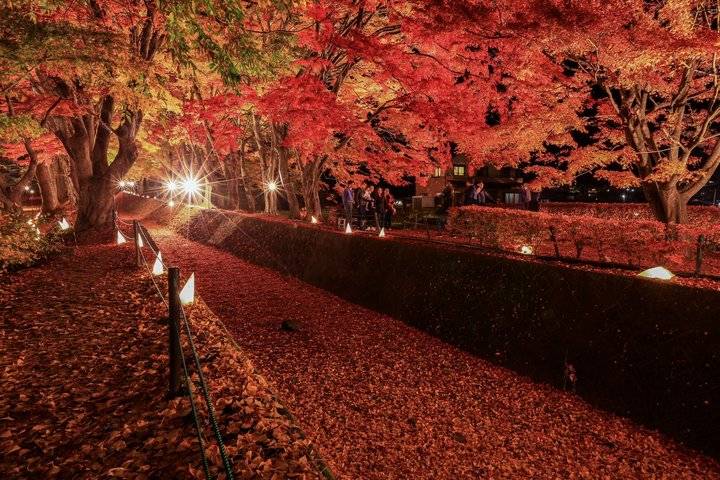 秋日富士山河口湖紅葉迴廊、川越、輕井澤秋色溫泉 2天團【忍野八海、淺間神社、入住八岳森林小木屋、白絲瀑布、小江戶川越街道】KTK-02A 東京出發