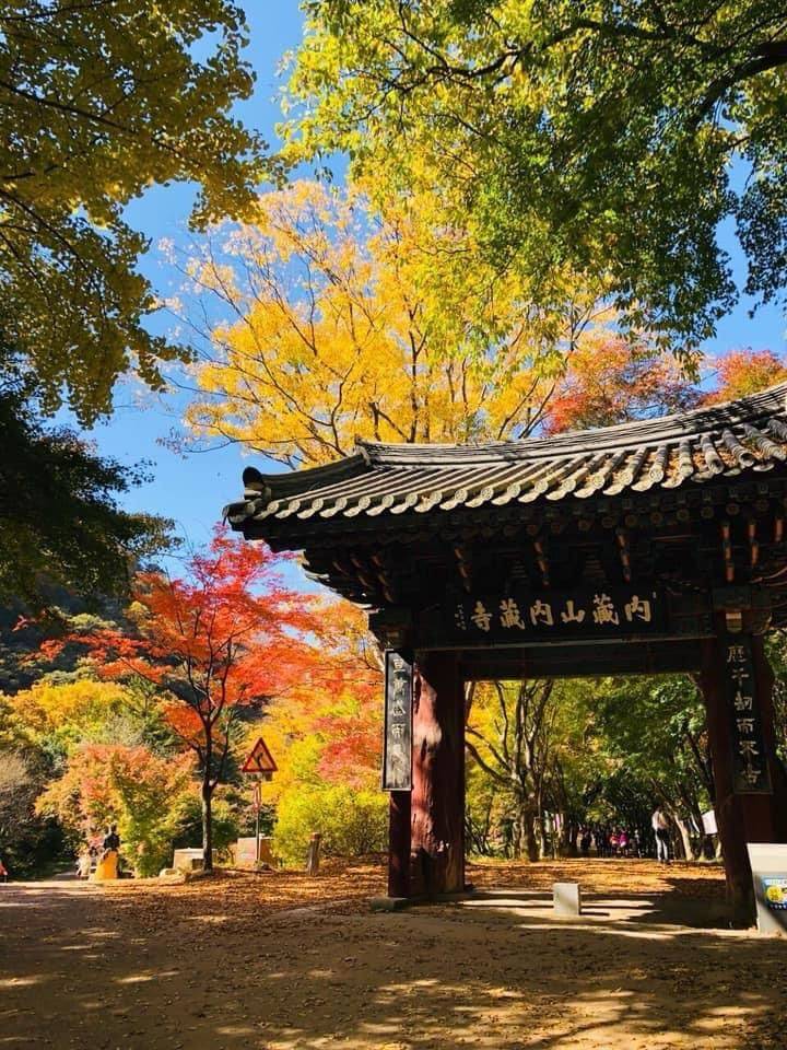 (團號:NJ-01) (10 &11月份限定) 2025全新內藏山內藏寺紅葉慶典一天團