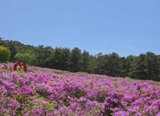 (團號 : SZ-03) 智異山隱世秋境3天團-釜山