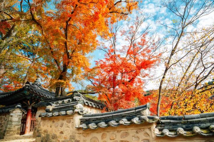 (團號: SG-03) 深度原州,浦項,慰山三天團