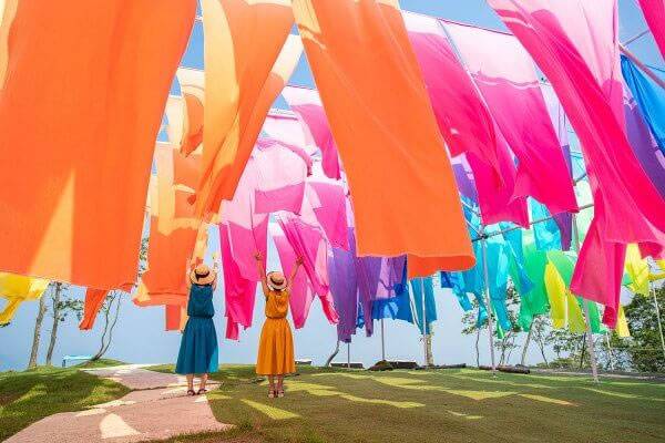 大阪琵琶湖賞花一天團【箱館山花田 ▎＜新緑＞ 杉木道▎白鬚神社  】(KOB-01H)