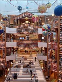 (團號: PXZ-01/26) <一人成團> 採摘蘋果西瓜｜打卡星空圖書館｜包入埸最大規模室內動物園 暢玩 一天團 <一人成團>｜首爾出發