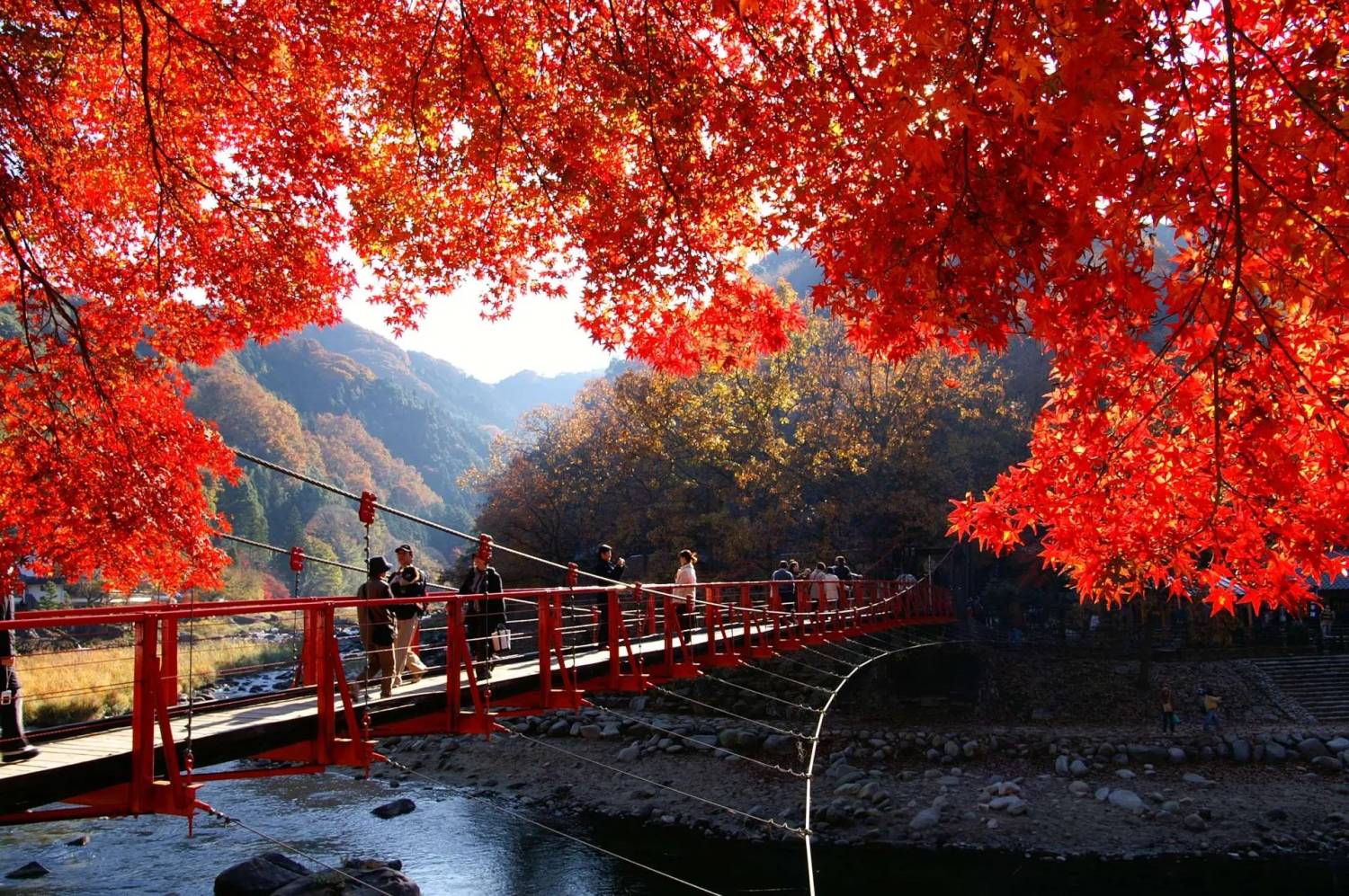 下呂紅葉名所一天遊(郡上八幡+犬山城下町)(KNK-01A)