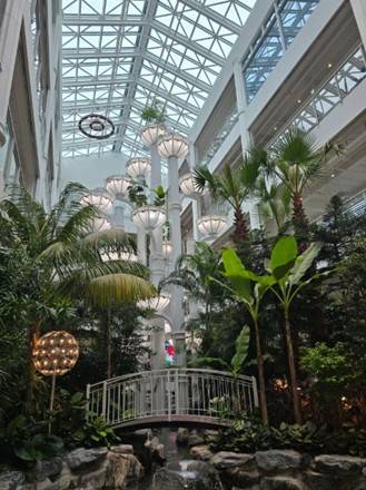 (團號: SYX-01) <一人成團> 繽紛繡球花 & 必訪「森林秘境咖啡廳」& 樂天Premium Outlet  & 韓國人氣大型藥局 一天團