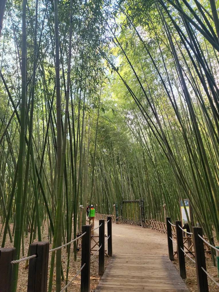 (團號: SG-03) 深度原州,浦項,慰山三天團