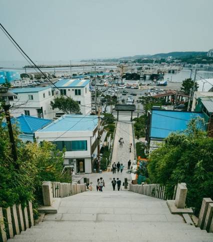 (團號 : FP-02 ) <<保證出團>>「櫻花隧道 × 火車花海 × 海上巨手」人氣打卡一次滿足