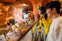 (團號 : PXZ-01/26) <一人成團> 蘋果西瓜×星空圖書館×  最大規模室內動物園 暢玩 一天團