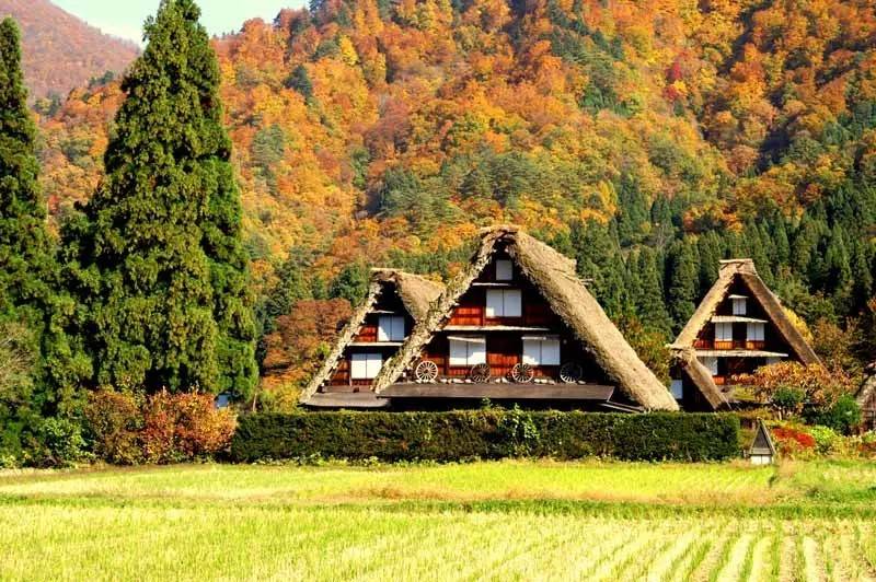 立山黑部紅葉三天團◎白川鄉◎上高地◎高山古街◎近江町市場◎包飛弾和牛◎包金箔雪糕◎包觀星私人風呂小木屋 KNT-03A 名古屋出發