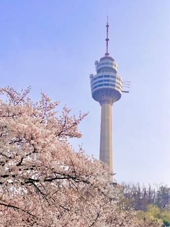 (團號 : ZD-02) <<保證出團>> 走進韓國春日秘境的兩日奇幻之旅