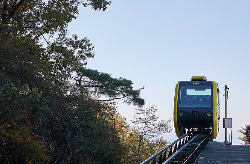 (團號:LS-01) 江華島單軌列車 斜坡滑車 朝陽紡織咖啡店 一天團