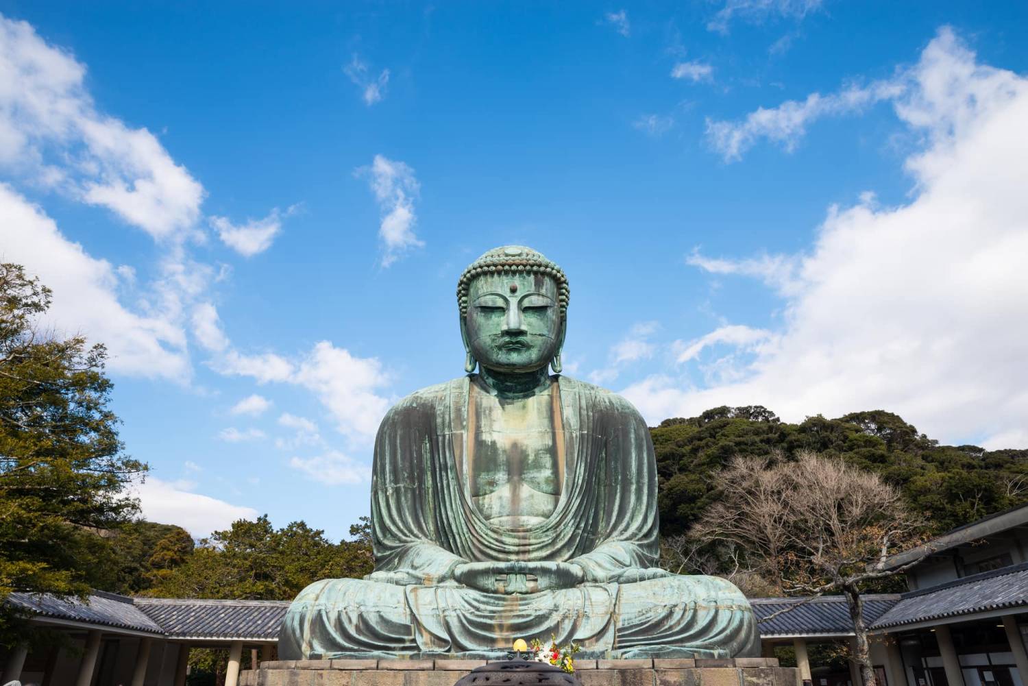 鎌倉-賞紫陽花之路1天團,走訪鶴岡八幡宮、長谷寺、江之島(KTK-01N )