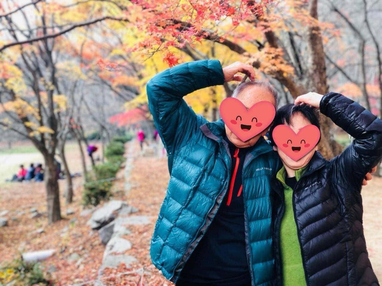 (團號:NJ-01) (10 &11月份限定) 2025全新內藏山內藏寺紅葉慶典一天團