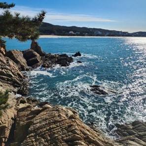 (團號: TC-01)  <一人成團> 隱藏於海上的療癒秘境&春末花海 & 402m 湖水吊橋 一天團