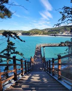 (團號: TC-01)  <一人成團> 隱藏於海上的療癒秘境&春末花海 & 402m 湖水吊橋 一天團