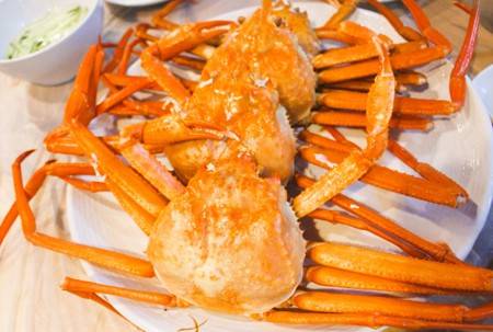 (團號 : FP-02 ) <<保證出團>>「櫻花隧道 × 火車花海 × 海上巨手」人氣打卡一次滿足