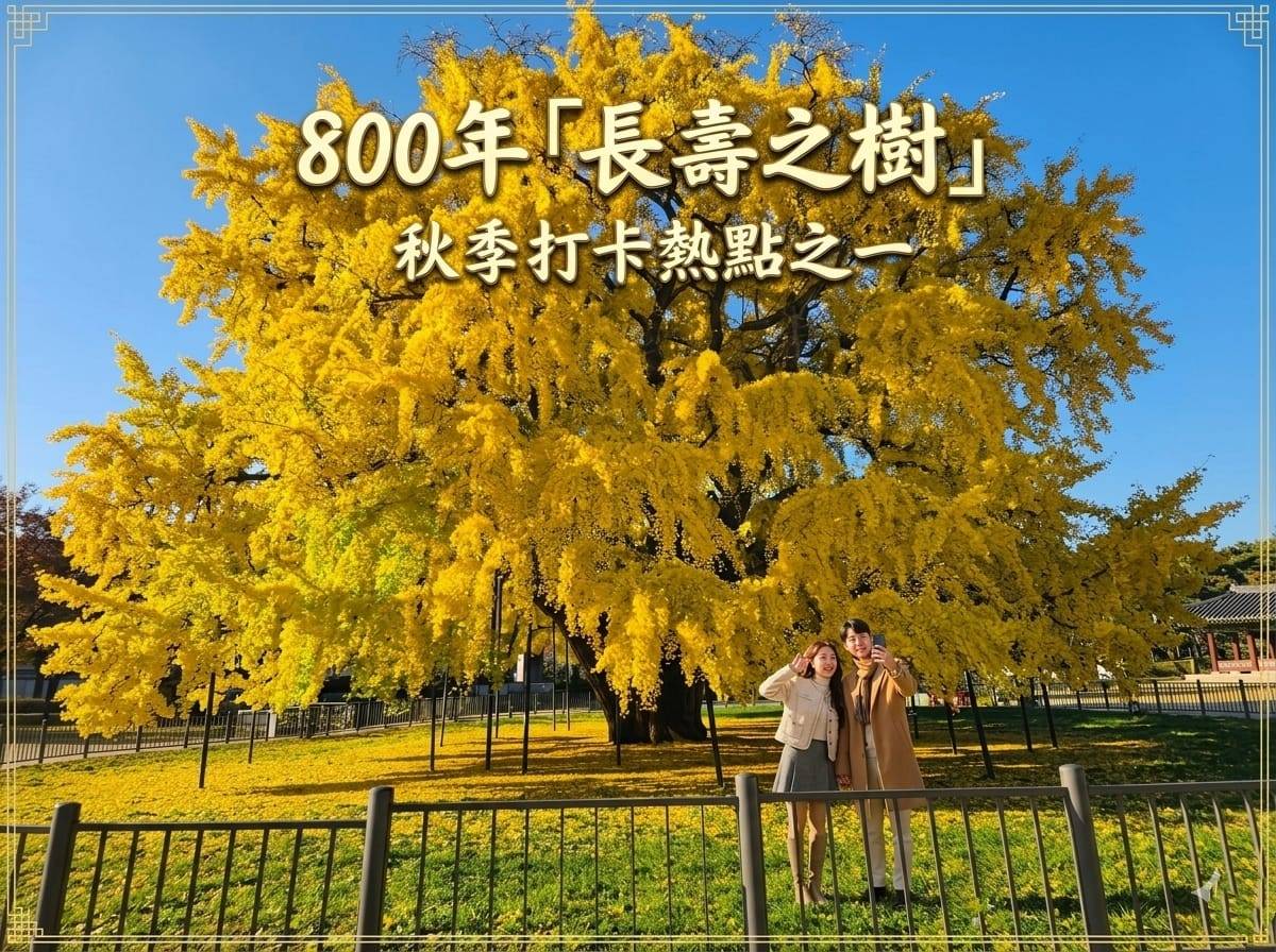 (團號 : HY-02) <一人成團> 和談林+秋日賞楓秘境2天團