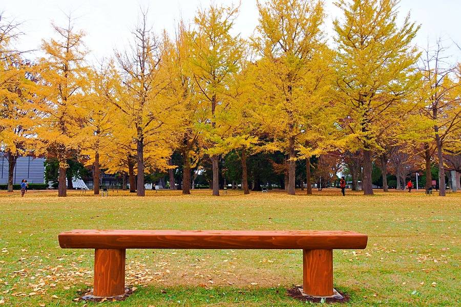 秋日東京大洗紅葉之旅、日立車站、銀杏並木、那珂湊魚市場、花貫渓谷、神龍吊橋、牛久大佛,秋色美景 2天團KTK-02A