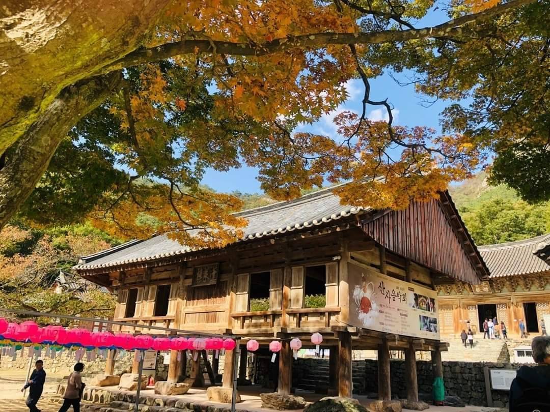 (團號:NJD-01) (10 &11月份限定) 2025東內藏山 最新楓葉公園 一天團