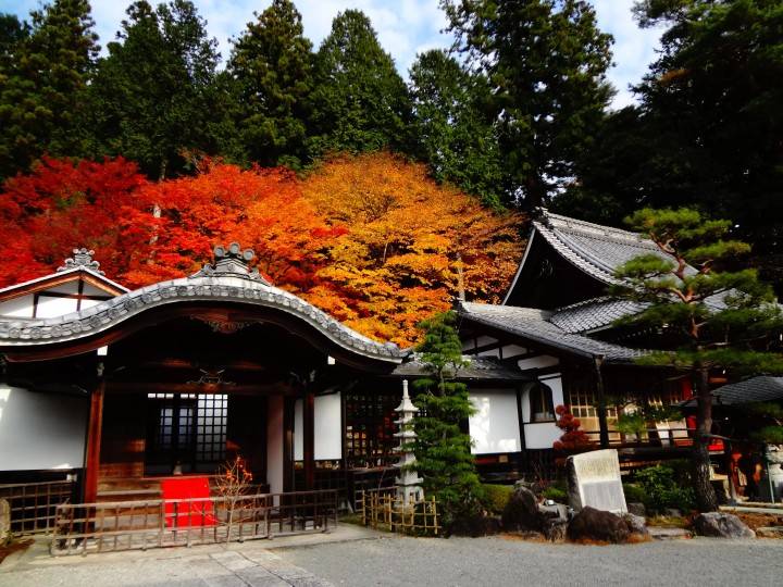 下呂紅葉名所一天遊(郡上八幡+犬山城下町)(KNK-01A)