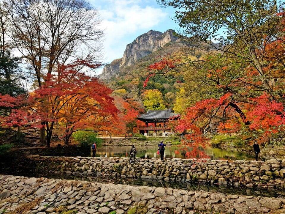 (團號:NJD-01) (10 &11月份限定) 2025東內藏山 最新楓葉公園 一天團