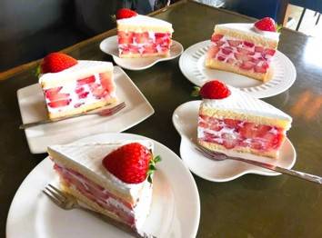 (團號 : ZD-02) <<保證出團>> 走進韓國春日秘境的兩日奇幻之旅