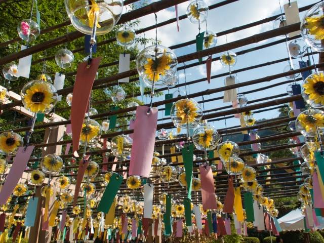 大阪宇治風鈴祭、伏見稻荷 一天團[正壽院、宇治抹茶街、伏見稻荷大社] KOU-01N
