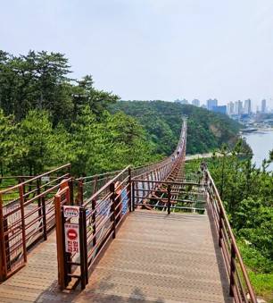 (團號 : ZD-02) <<保證出團>> 走進韓國春日秘境的兩日奇幻之旅