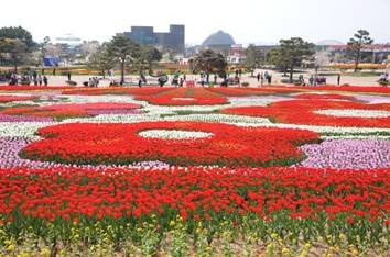 (团号: NG-02) 内藏山,水杉树林路,枫叶公园, 赏枫叶二天团