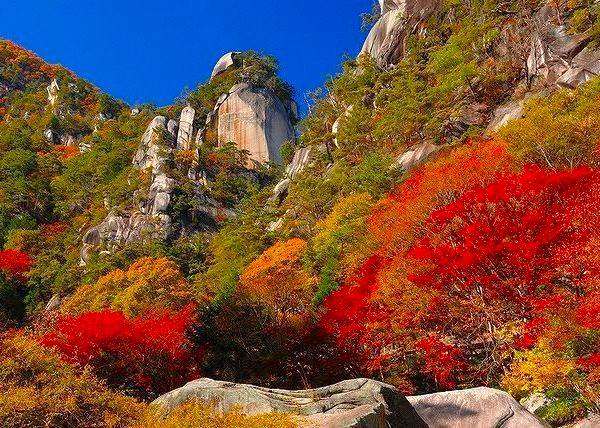 東京出發◆秋日河口湖賞楓名所◆紅葉迥廊一天遊【世界自然遺產富士山-忍野八海 ▎乘纜車走上御岳昇仙峽   】(KTF-01A)