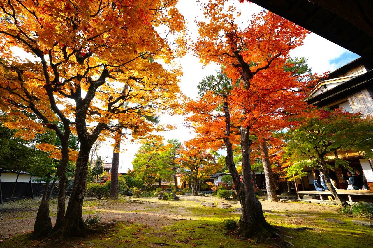 名古屋出發◆秋之高山金澤二天團【世界文化遺產◆紅葉的白川鄉合掌村▎日本唯一淨土◆上高地▎日本三大名園◆兼六園▎西日本一掃帚草花海▎蛭野高原花園】(KNN-02A)