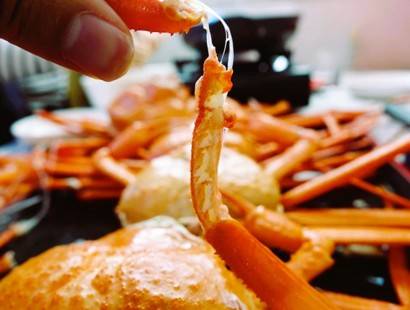 (團號 : FP-02 ) <<保證出團>>「櫻花隧道 × 火車花海 × 海上巨手」人氣打卡一次滿足