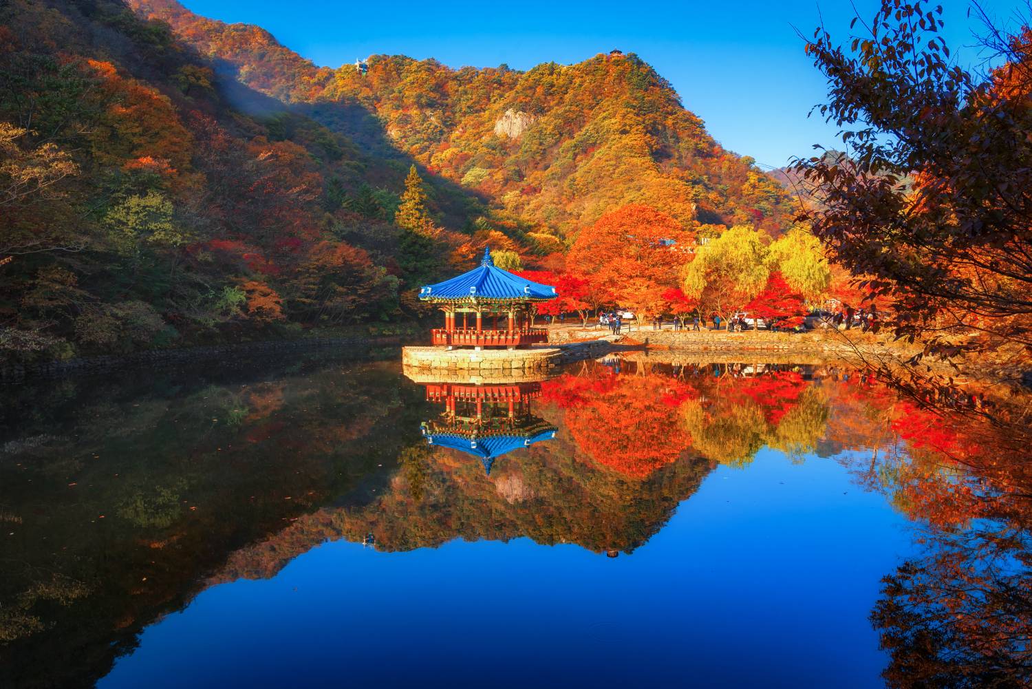 (團號:NJD-01) (10 &11月份限定) 2025東內藏山 最新楓葉公園 一天團
