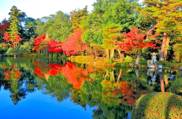 名古屋出發◆秋之高山金澤二天團【世界文化遺產◆紅葉的白川鄉合掌村▎日本唯一淨土◆上高地▎日本三大名園◆兼六園▎西日本一掃帚草花海▎蛭野高原花園】(KNN-02A)