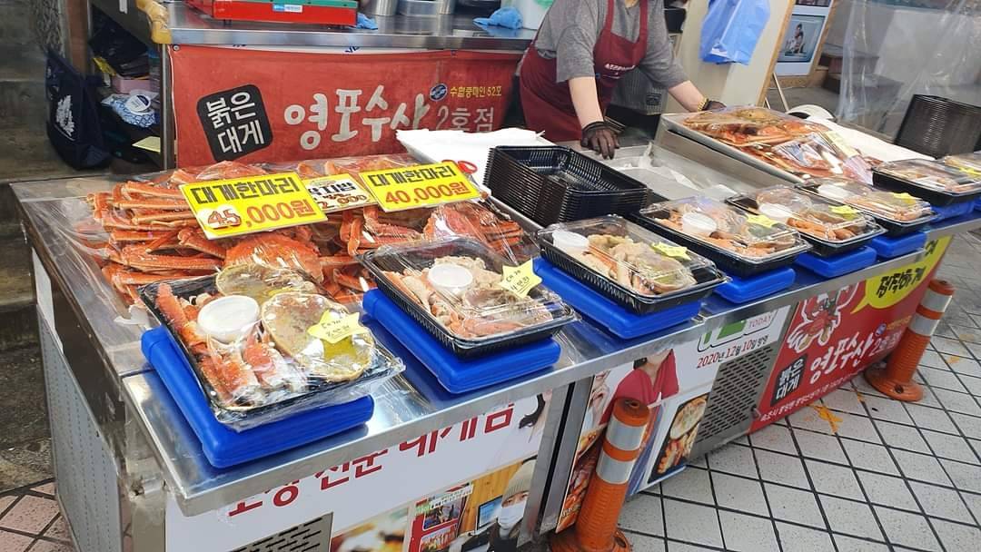 (團號:SE-01) (10 &11月份限定) 2025 最早賞楓勝地雪嶽山, 朿草觀光水產市場,展望台一天團