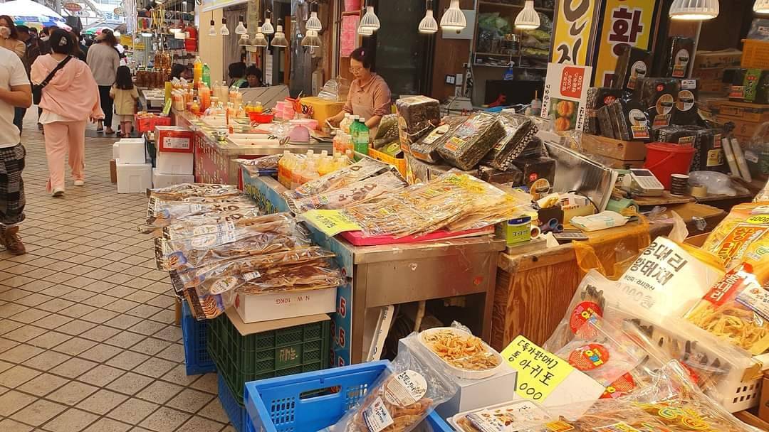 (團號:SE-01) (10 &11月份限定) 2025 最早賞楓勝地雪嶽山, 朿草觀光水產市場,展望台一天團