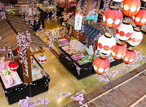 大阪琵琶湖賞花一天團【箱館山花田 ▎＜新緑＞ 杉木道▎白鬚神社  】(KOB-01H)