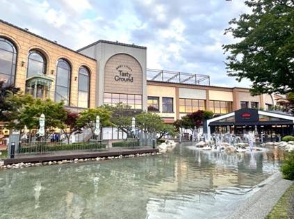 (團號: SYX-01) <一人成團> 繽紛繡球花 & 必訪「森林秘境咖啡廳」& 樂天Premium Outlet  & 韓國人氣大型藥局 一天團