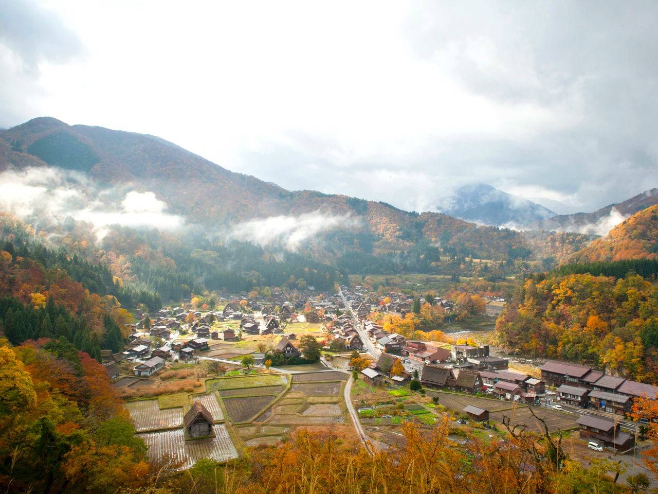 名古屋出發◆秋之高山祭一天團【世界文化遺產◆紅葉的白川鄉合掌村▎秋之高山祭】(KNM-01A)