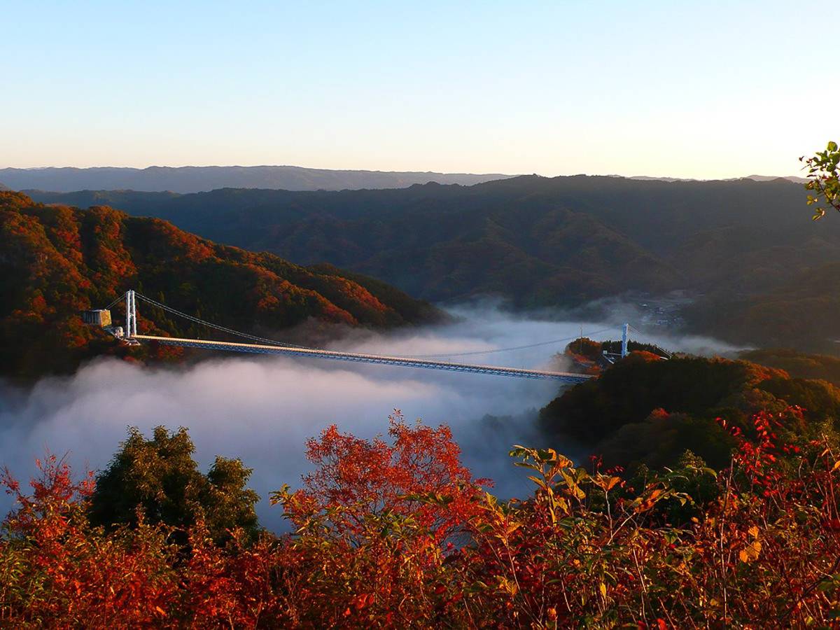秋日東京大洗紅葉之旅、日立車站、銀杏並木、那珂湊魚市場、花貫渓谷、神龍吊橋、牛久大佛,秋色美景 2天團KTK-02A
