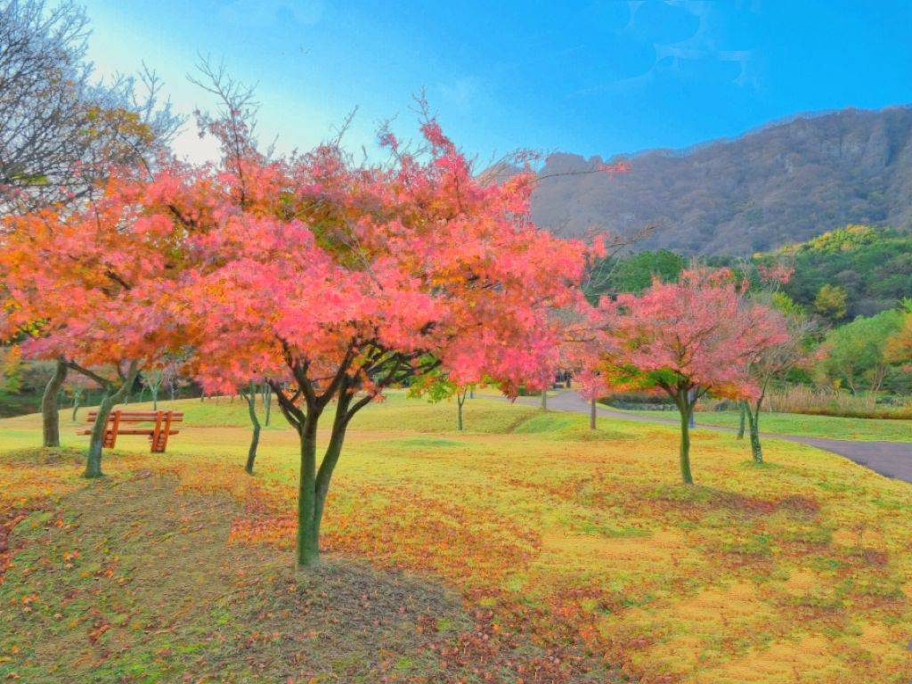 (團號:NJ-01) (10 &11月份限定) 2025全新內藏山內藏寺紅葉慶典一天團