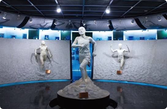 (團號: SY-01) 龍平-冬季童話一天團