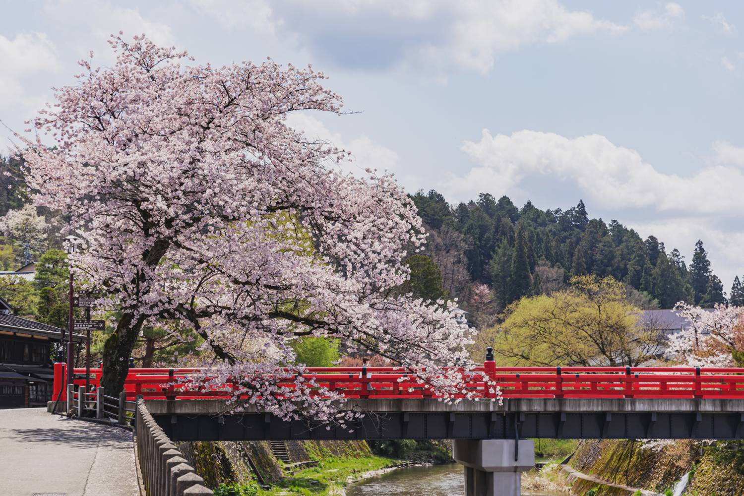名古屋紅葉名所一天遊-下呂溫泉街+郡上八幡+犬山城下町(KNK-01A)