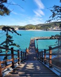 (团号: NG-02) 内藏山,水杉树林路,枫叶公园, 赏枫叶二天团